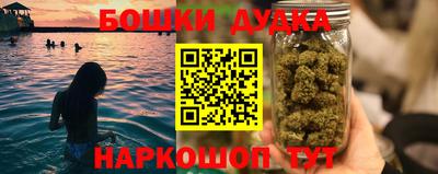 прущие крисы Будённовск