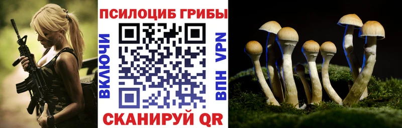 Псилоцибиновые грибы ЛСД Всеволожск