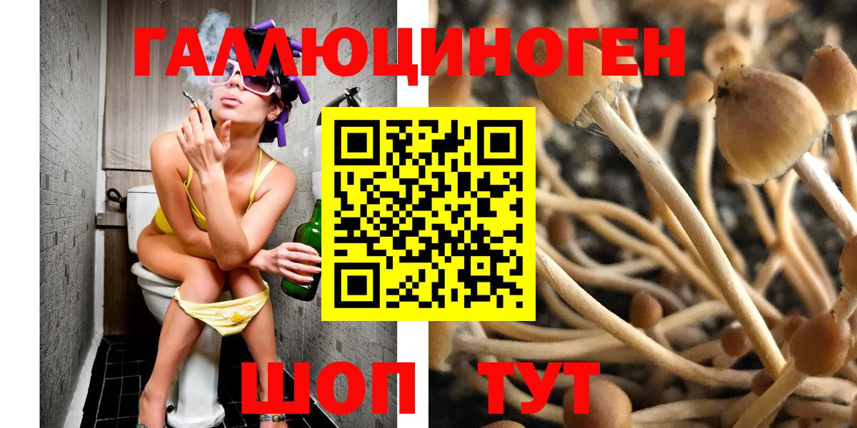 Псилоцибиновые грибы прущие грибы  Галлюциногенные грибы мицелий  Всеволожск  Вход с VPN 
